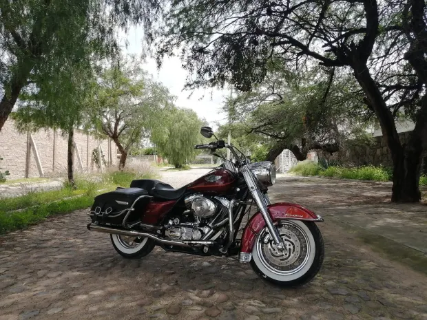 Moto entregada por Gladius Custom Bajío